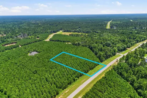 16222 Ridge Oak Rd, Willis, TX 77378 photo 10