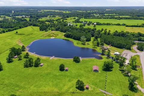 16222 Ridge Oak Rd, Willis, TX 77378 photo 23