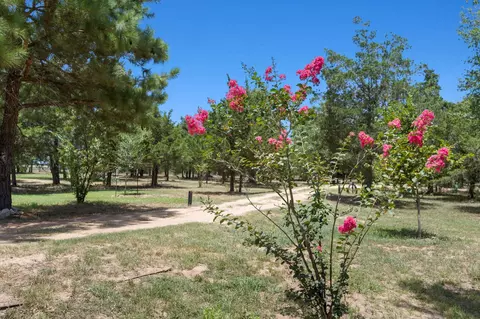 Other - 1071 Blacksmith Farm Ln, Weimar, TX 78962 photo 19 of 24