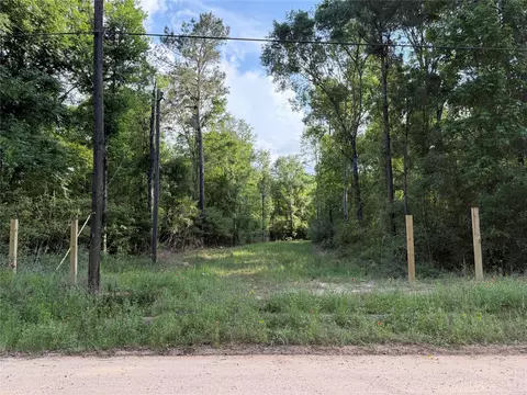tbd E Capps Road Rd, Livingston, TX 77351