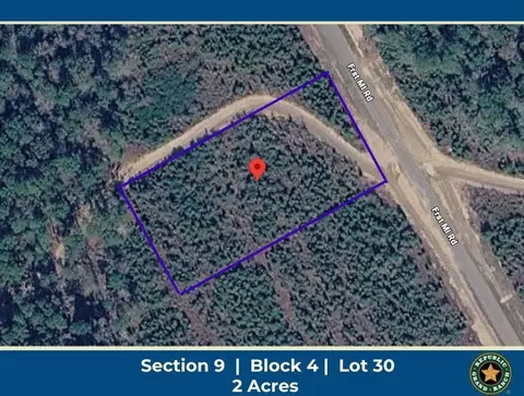 16163 Forest Mill Rd, Willis, TX 77378