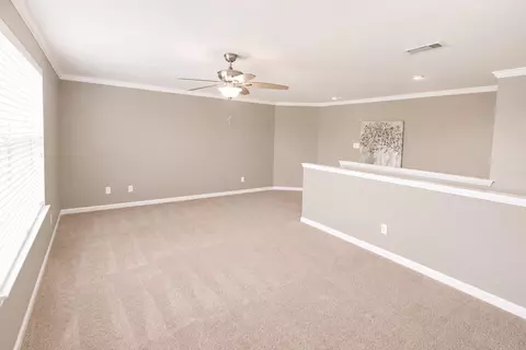 Other - 9427 Ruby Mist Dr, Rosharon, TX 77583 photo 3 of 6