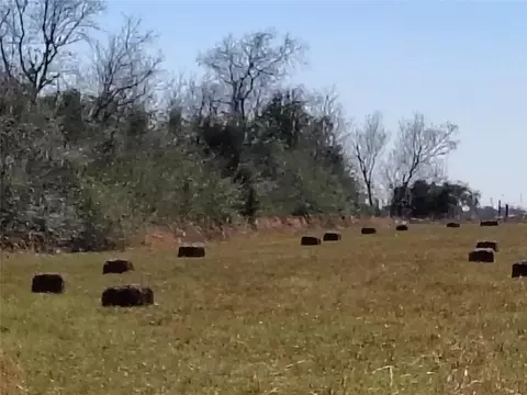 tbd Brumlow Rd, Waller, TX 77484 photo 5
