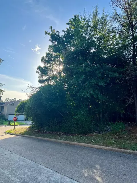 3102 Poe Dr, Montgomery, TX 77356