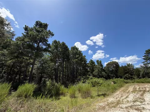 tbd Pr 1284, Centerville, TX 75833 photo 8