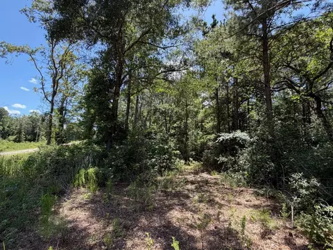 tbd Pr 1284, Centerville, TX 75833 photo 5