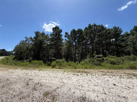 tbd Pr 1284, Centerville, TX 75833 photo 6