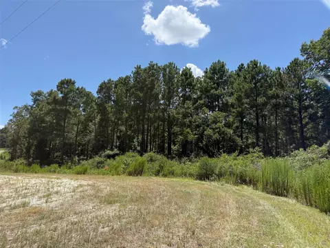 tbd Pr 1284, Centerville, TX 75833 photo 9
