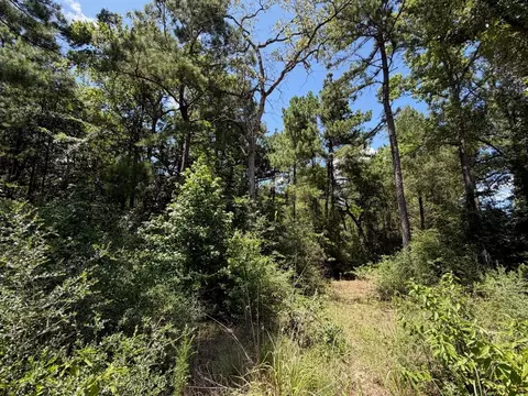 tbd Pr 1284, Centerville, TX 75833 photo 7