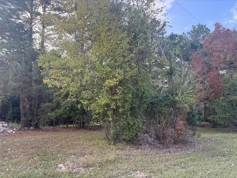 0 Silver Hickory Dr, Coldspring, TX 77331