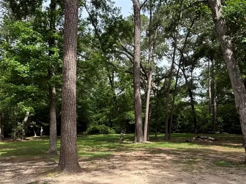 188 Virginia Park, Conroe, TX 77302 photo 1