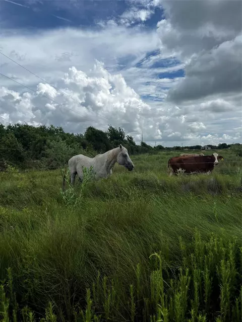 0 County Road 306, Brazoria, TX 77422