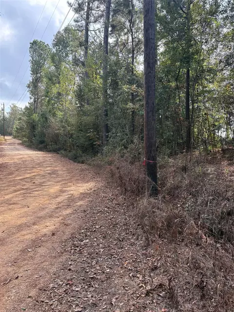 tbd Glen Nettles Rd, Livingston, TX 77351