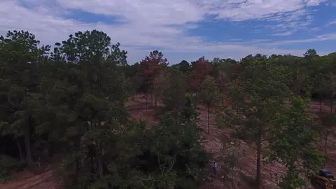 12939 Rose Rd, Willis, TX 77378 photo 7