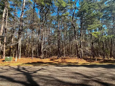 55 Green Tree Dr, Coldspring, TX 77331 photo 4