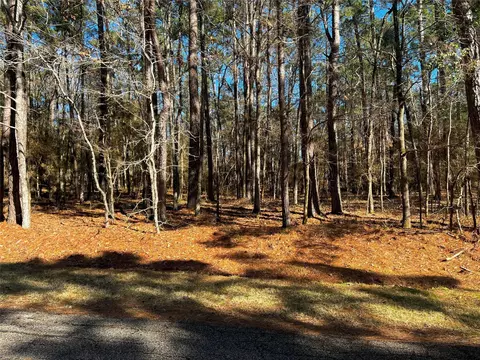 55 Green Tree Dr, Coldspring, TX 77331