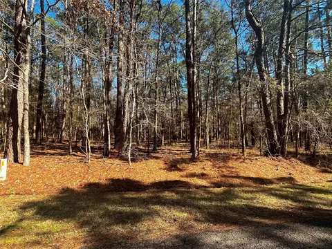 55 Green Tree Dr, Coldspring, TX 77331 photo 3