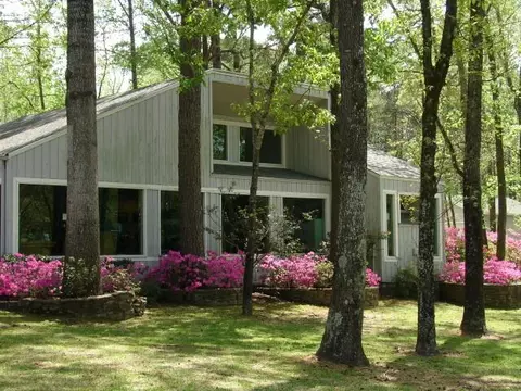 55 Green Tree Dr, Coldspring, TX 77331 photo 7