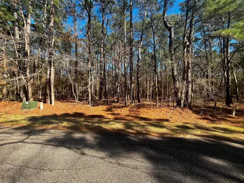 55 Green Tree Dr, Coldspring, TX 77331 photo 2