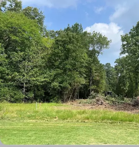 46 Greenway Dr, Trinity, TX 75862