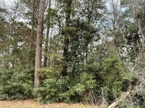 0 Codner Dr, Shepherd, TX 77371