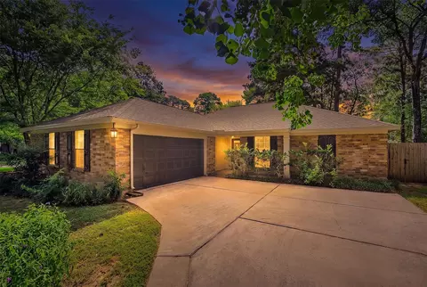 3 Still Corner Pl, Spring, TX 77381 photo 34