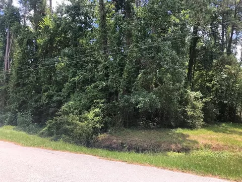 0 Bettyann Ln, Houston, TX 77339