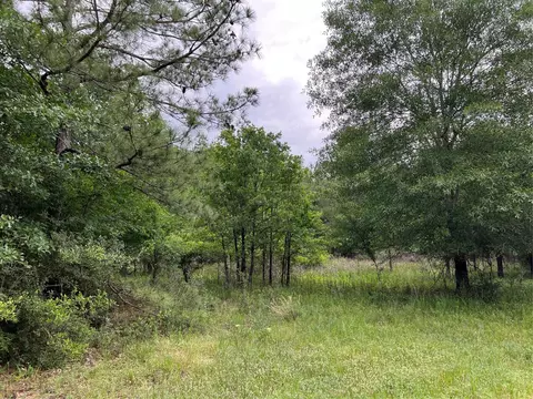 0019 English Rd, Bedias, TX 77831