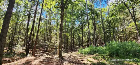 tbd County Road 405, San Augustine, TX 75972