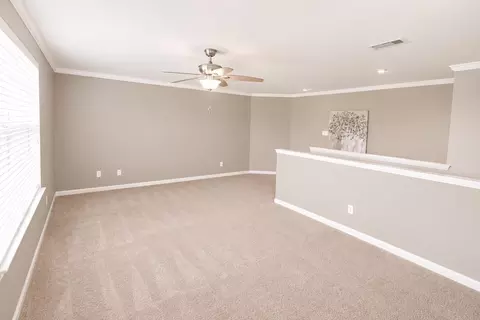 Other - 9427 Ruby Mist Dr, Rosharon, TX 77583 photo 3 of 5