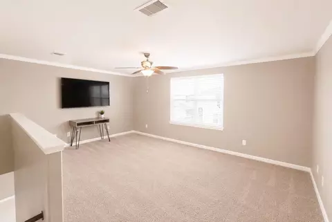 Other - 9427 Ruby Mist Dr, Rosharon, TX 77583 photo 2 of 5