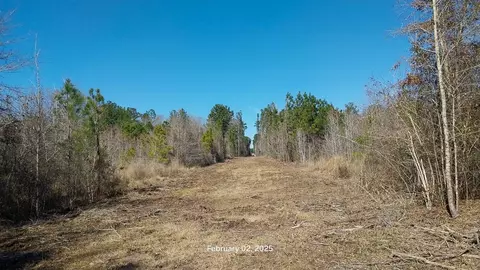 0 Chambers Rd, Zavalla, TX 75980