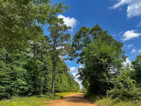 0000000 Kelley Rd, Livingston, TX 77351