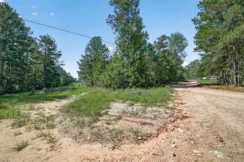 Other - 1336 Darrel Hall Dr, Trinity, TX 75862 photo 2 of 4