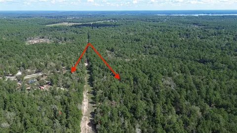 View/Area - 1336 Darrel Hall Dr, Trinity, TX 75862 photo 1 of 5