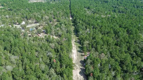 View/Area - 1336 Darrel Hall Dr, Trinity, TX 75862 photo 4 of 5