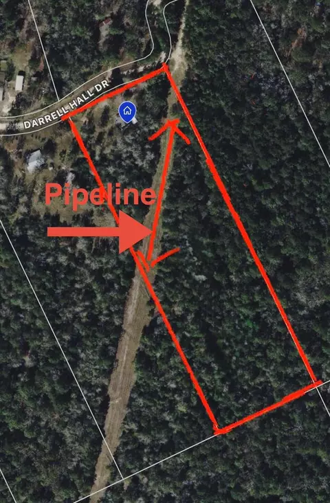 Other - 1336 Darrel Hall Dr, Trinity, TX 75862 photo 4 of 4