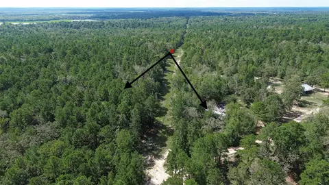 Other - 1336 Darrel Hall Dr, Trinity, TX 75862 photo 3 of 4