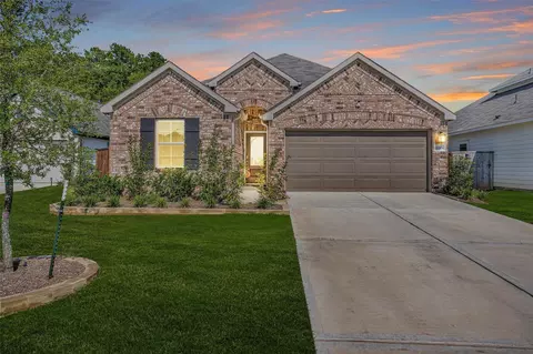 10009 Bigfoot Wallace Dr, Montgomery, TX 77316
