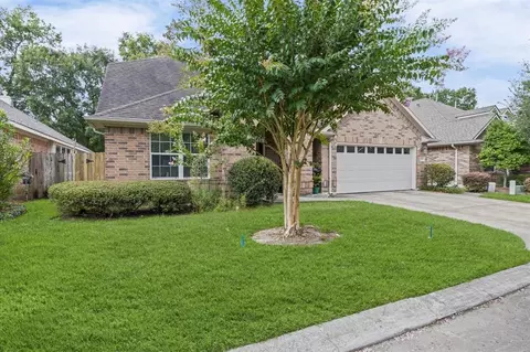 15231 Scenic Woodland Dr, Conroe, TX 77384