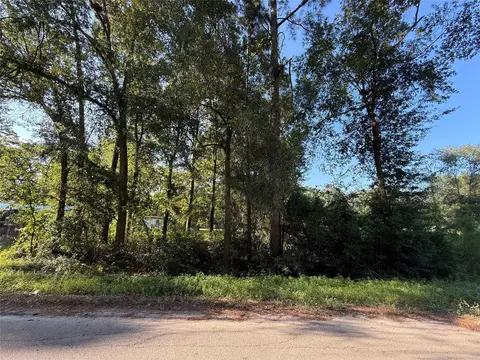 00 Spanish Oaks Dr, New Caney, TX 77357