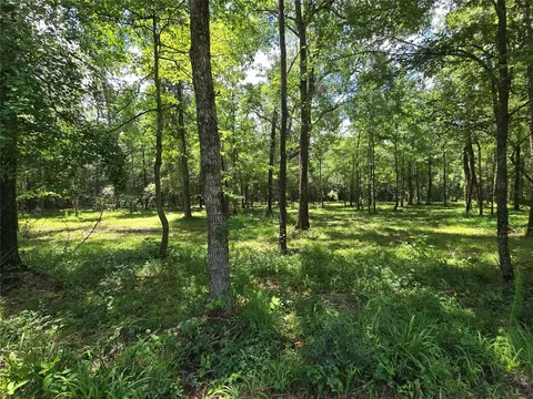 00 Tbd Hwy 150 W, Coldspring, TX 77331