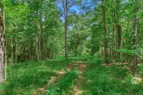 tbd Sharp View Rd, Montgomery, TX 77356 photo 7