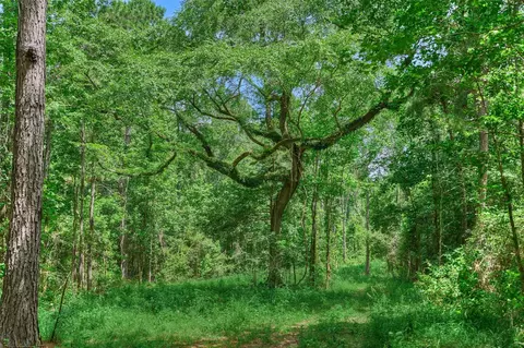 tbd Sharp View Rd, Montgomery, TX 77356 photo 8