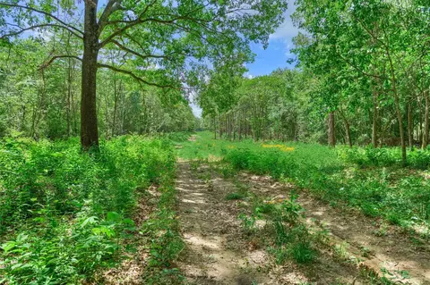 tbd Sharp View Rd, Montgomery, TX 77356 photo 11