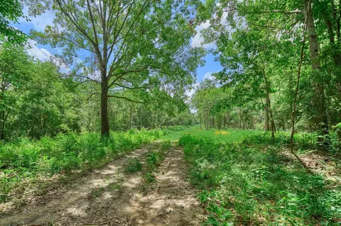 tbd Sharp View Rd, Montgomery, TX 77356 photo 6
