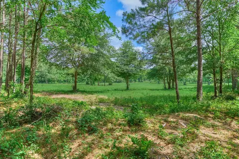 tbd Sharp View Rd, Montgomery, TX 77356 photo 13