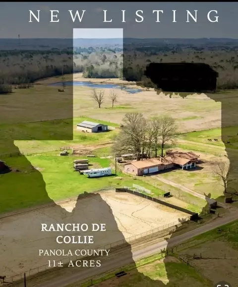 511 County Road 161, Long Branch, TX 75669