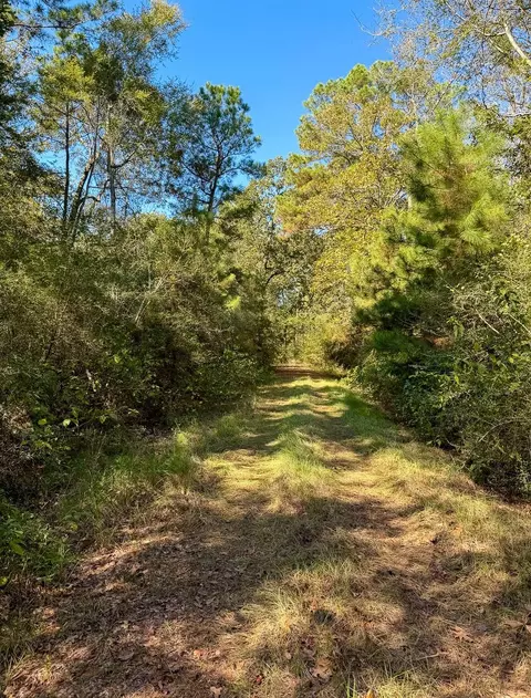 Other - 8775 Old Highway 19, Trinity, TX 75862 photo 10 of 14