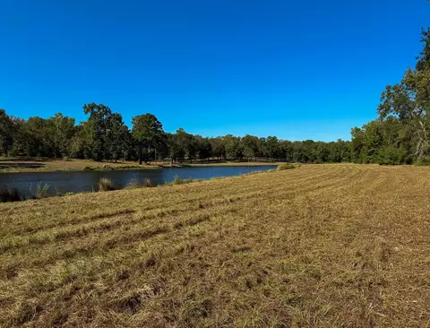 View/Area - 8775 Old Highway 19, Trinity, TX 75862 photo 12 of 17
